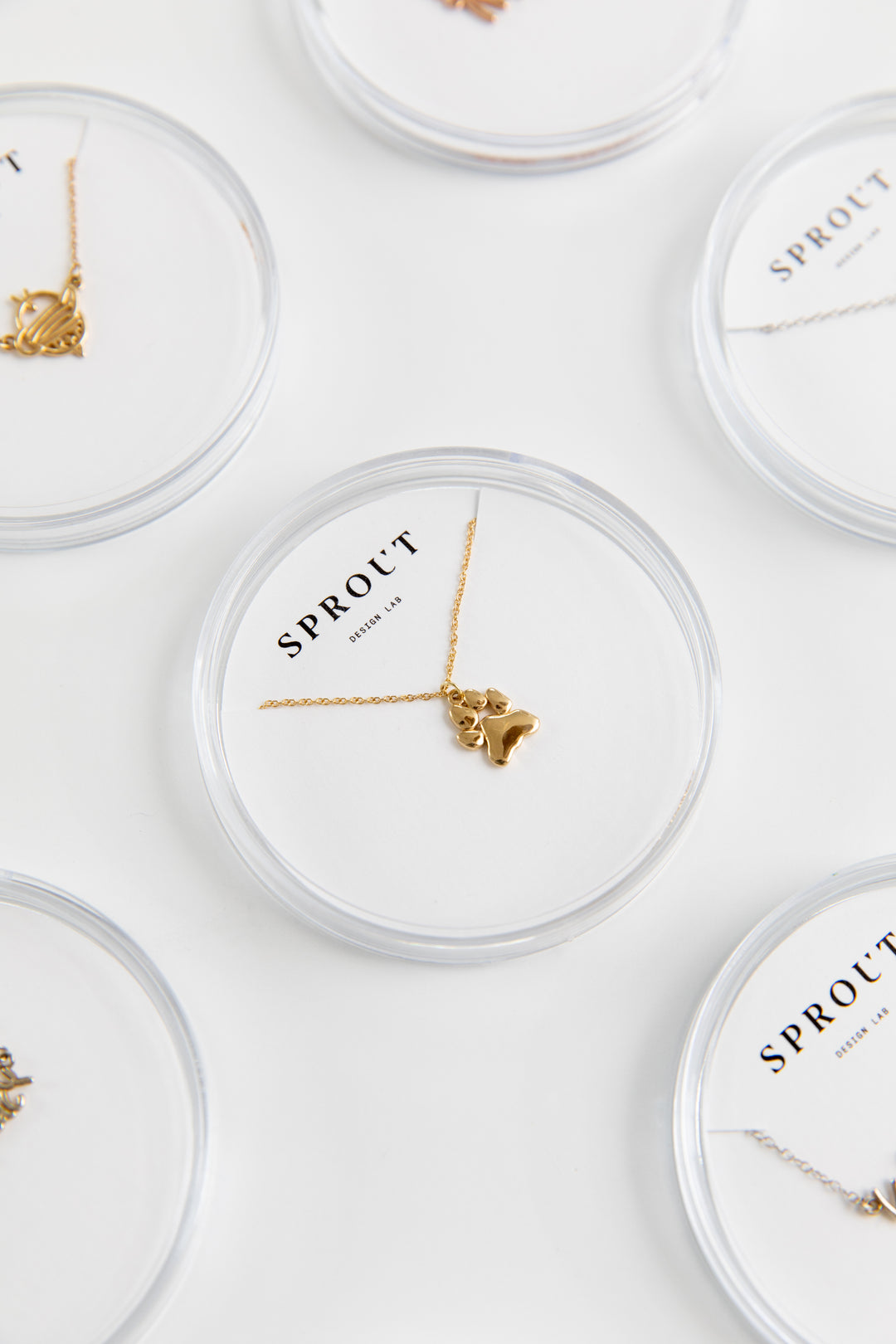 Gold paw print necklace displayed in Sprout Design Lab packaging